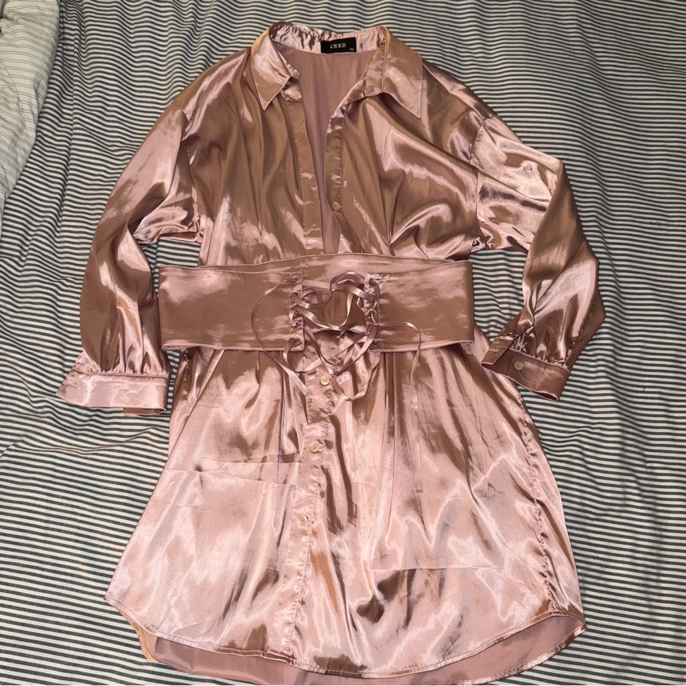 Cider Satin Collared Shirt Dress (Size 14/16)